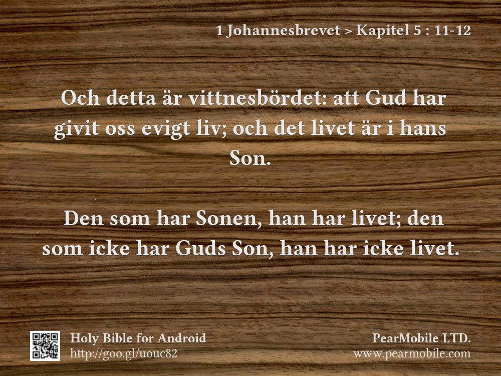 1 Johannesbrevet, Kapitel 5:11-12